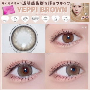 a-eye 1 Day Yeppi Brown ワンデーリフレア エーアイ イエッピーブラウン